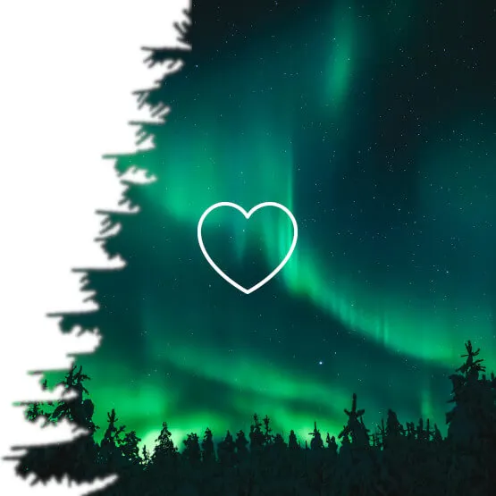 Alusvaatteet